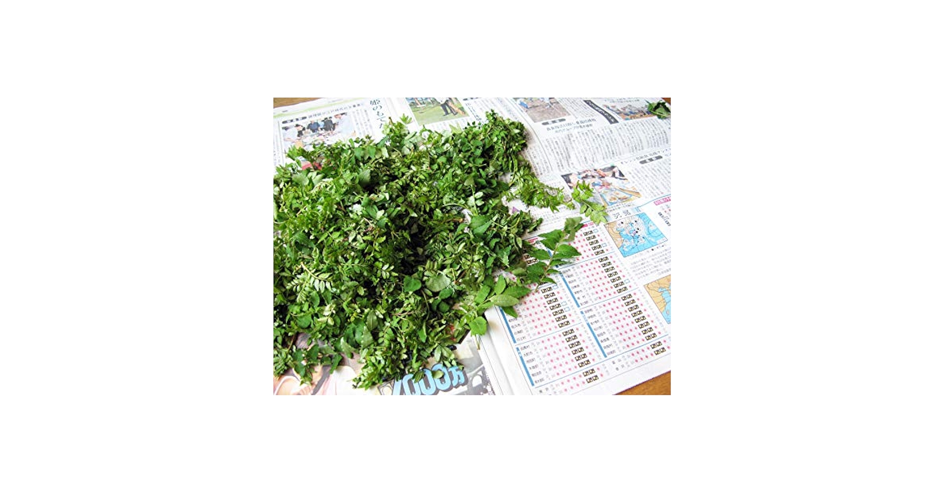 大容量！山椒の葉1kg 2000枚相当 Amazon.co.jp: 大きい山椒の葉1kg（大小バラ詰め）【発送時期
